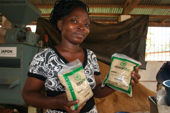 Forschungsassistentin Blance Soussous zeigt Packungen mit Parboiled-Reis.