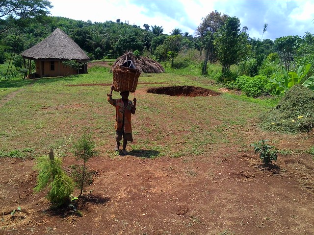 Ndanifor ist das erste Ökodorf in Kamerun.