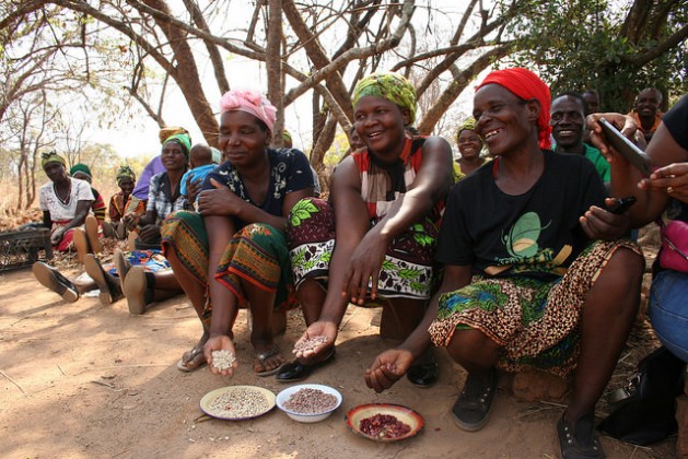 Hülsenfrüchte stärken die Ernährungssicherheit in Afrika.