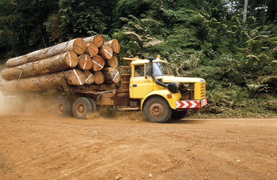 Holztransport auf LKW in Afrika