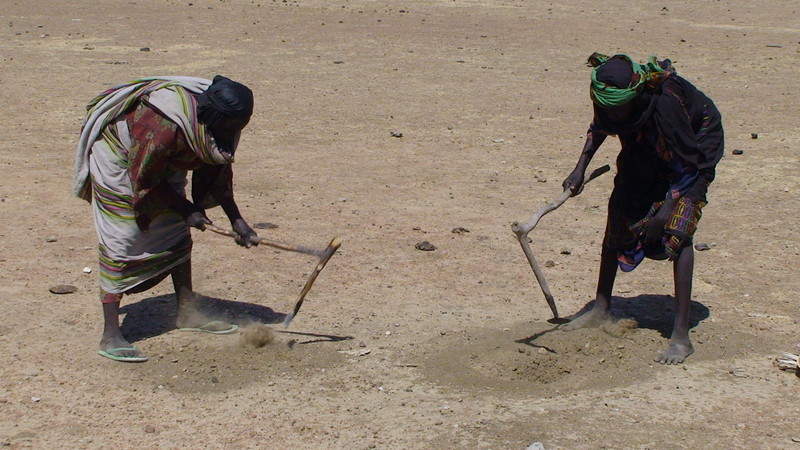 Frauen aus dem Dorf Azoza im Tschad suchen in Ameisenhügeln nach Getreide.