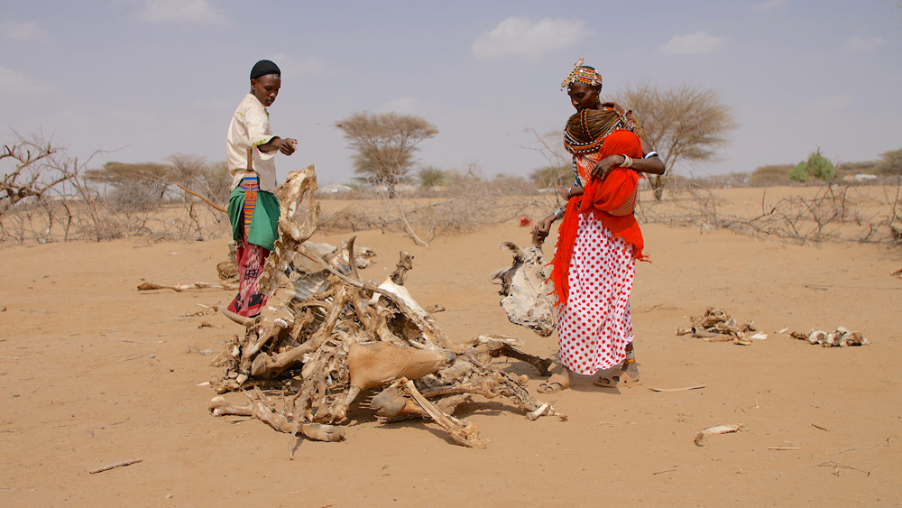 Dürre in Marsabit Kenia