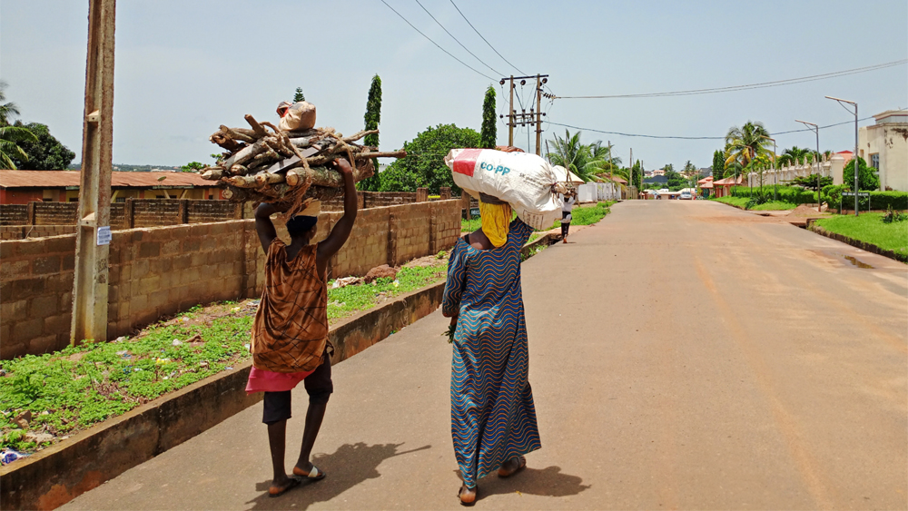 Frauen in Nigeria kehren mit Brennholz aus dem Wald zurück. (Foto: Peace Oladipo/IPS)