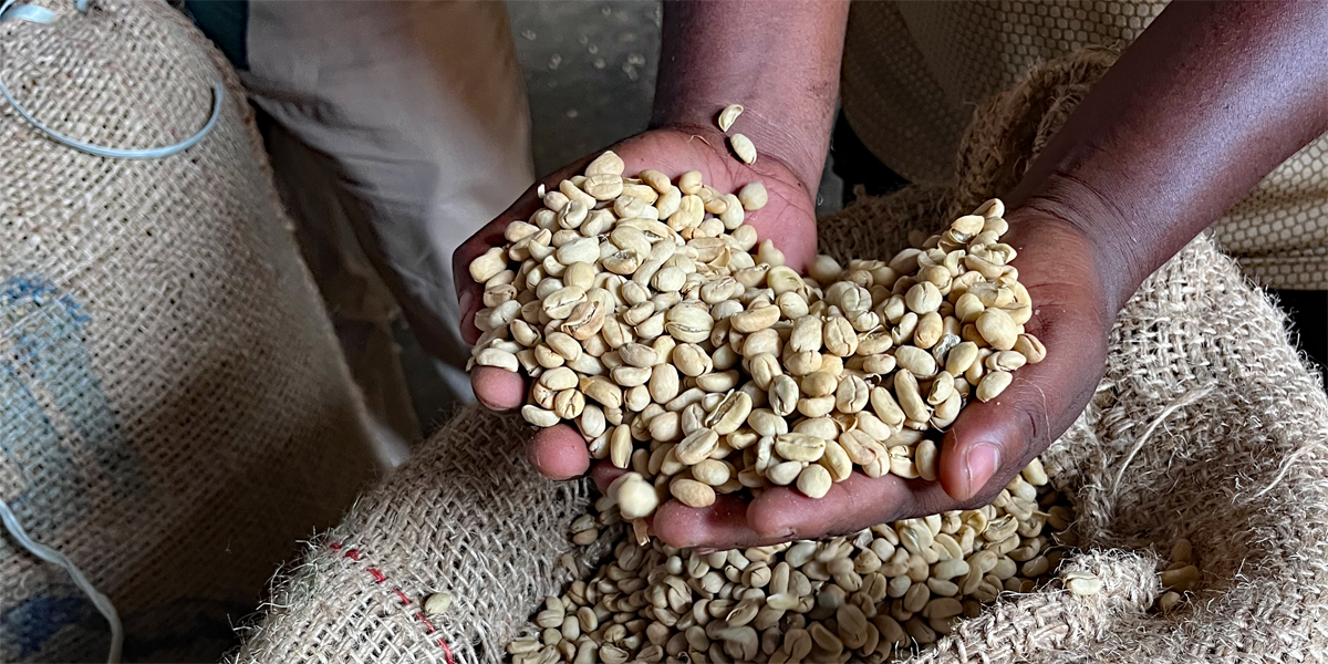 Rohkaffee in einer Kaffeegenossenschaft in Äthiopien - Bild: Monika Sturmer