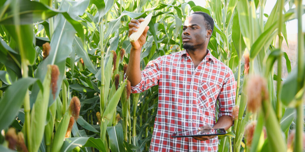 Technologie gegen den Hunger
