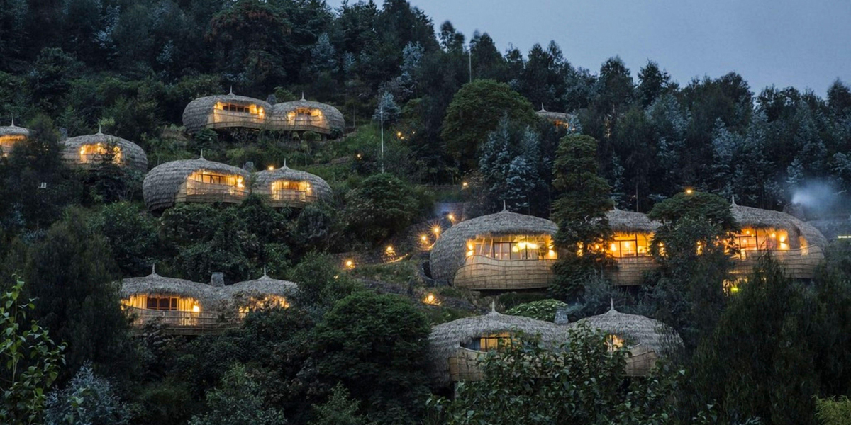 Bisate Lodge: Warum Luxus den Gorillas helfen kann