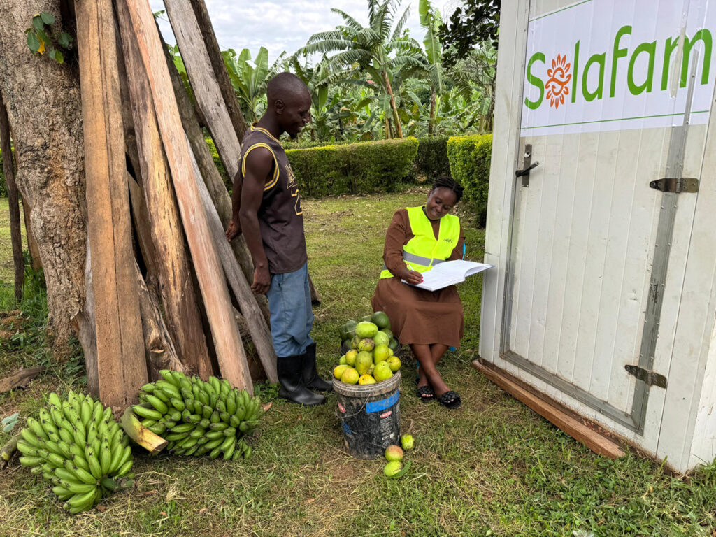 Shifra Ainomugisha erfasst die Erntemengen von Bananen und Mangos in Uganda.